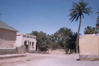 Street in Loreto, April 28, 1957