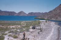 Punto Escondido, 1952