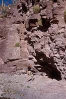 P. Gerhard at Cuevas Pintas, April 26, 1961