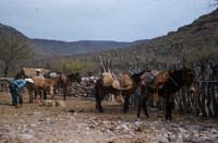 Rancho Los Burros, April 22, 1955