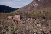 Santa Rosalillita, April 20, 1955