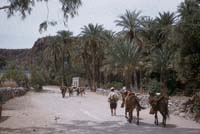 Comond, April 21, 1955