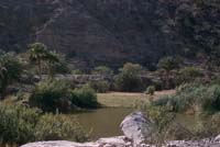 Pursima Canyon, April 27, 1957