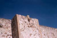 Drain spout, San Luis Gonzaga Mission, April 14, 1957