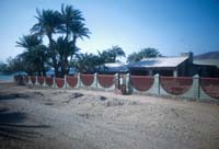 La Paz, 1951