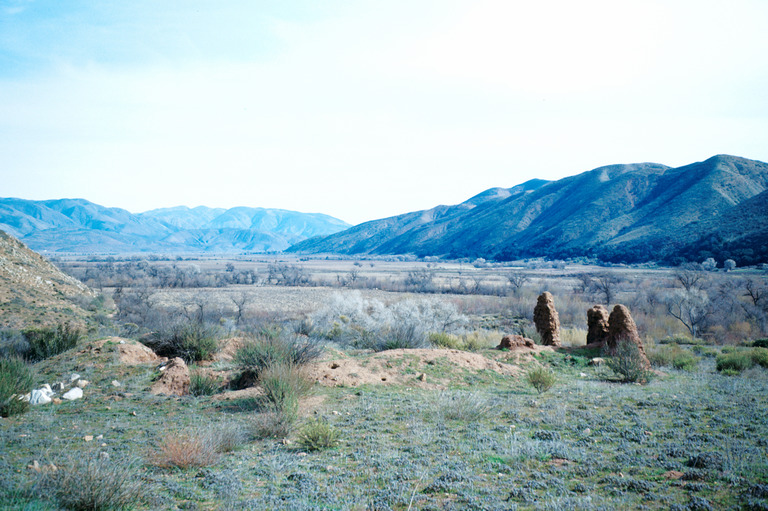 Dolores del Sur Mission, ruins
