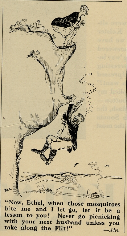 Flit advertisement