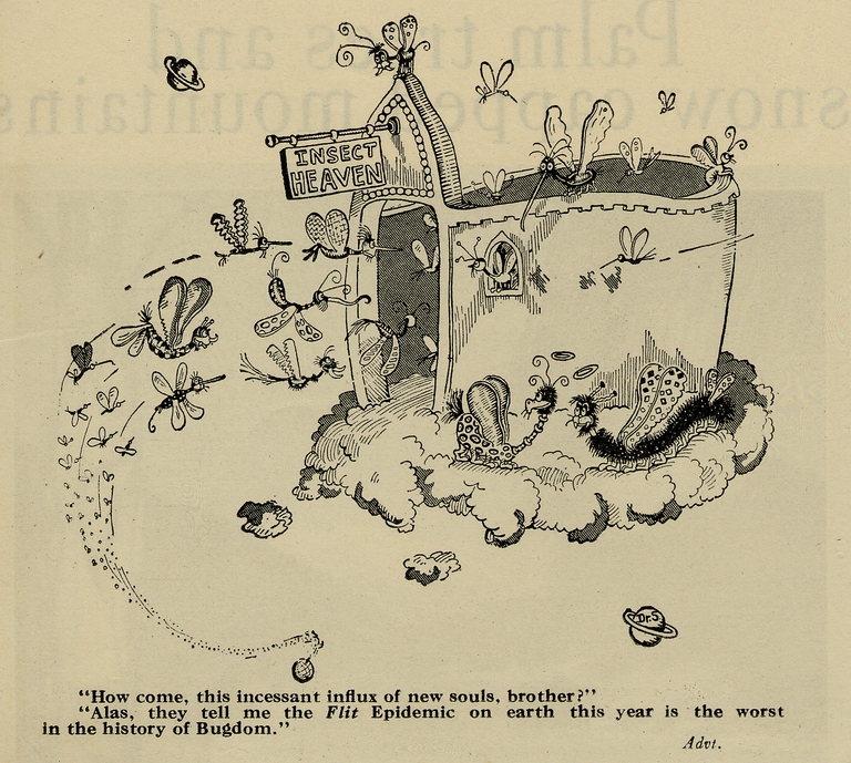 Flit advertisement