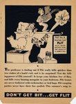 Flit advertisement