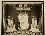 Flit advertisement proof