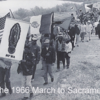 MARCHERS GREW TO THOUSANDS, HERE WE ARE COMING CLOSER TO SACRAMENTO, THE END IS NOT TOO FAR.