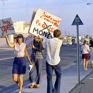 Jean Leighton at UFW Safeway Boycott in San Diego 1968