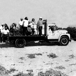 Teamster goons roaming on dump truck during Coachella strike 1973.