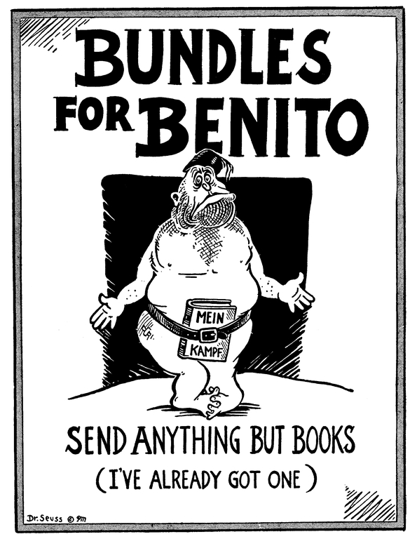 Bundles for Benito